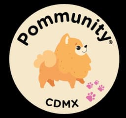 Pommunity CDMX